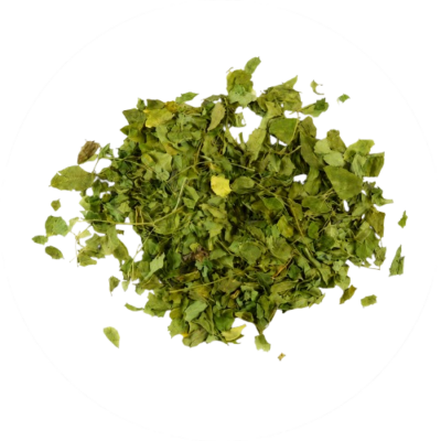 Kruidenthee Moringa